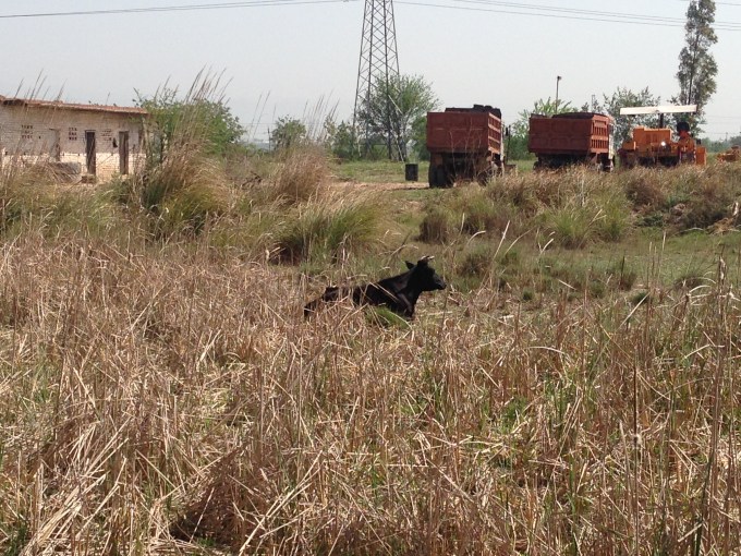 C7B0A7B1-5988-491E-8496-1427401DD03C