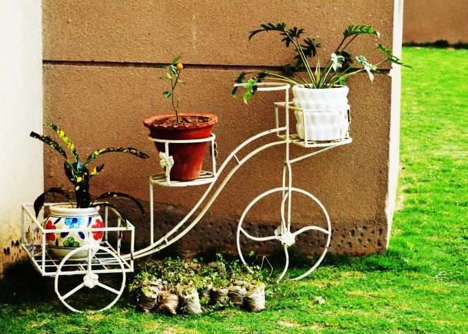Garden on Cycle.