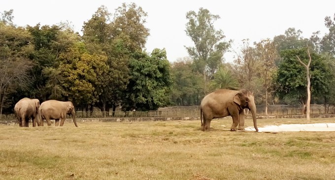 I touched the radio to anyone