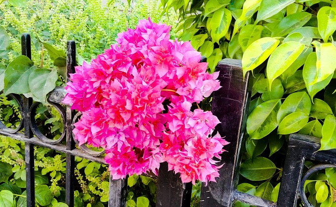 03CCF888-EE72-46B1-B628-719F13C670C4