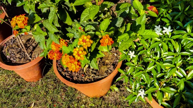 8AE0E9FE-C39C-4641-A5C9-B30C1FBFAB80