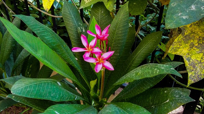 F5307D93-7B6C-4DE3-8E9E-975F1A42CA19