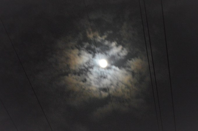 bluemoon
